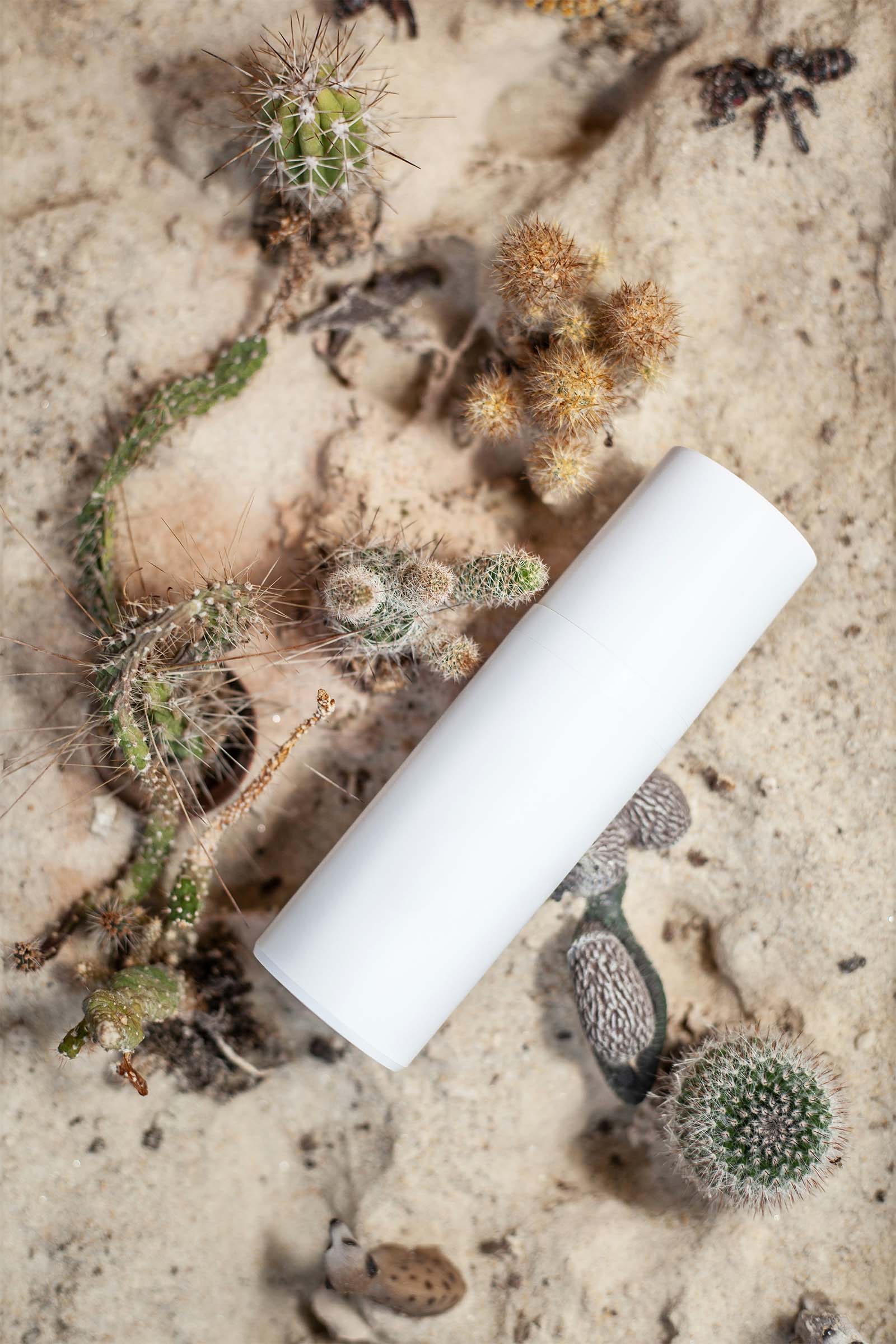 Anti-Aging Serums course